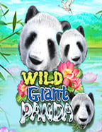 ทดลอง pg เกม ใหม่ รับประสบการณ์สุดพิเศษ